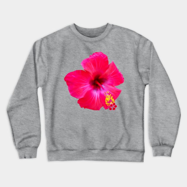 Red Hibiscus Floral Photo Beach Vibe Crewneck Sweatshirt by ellenhenryart